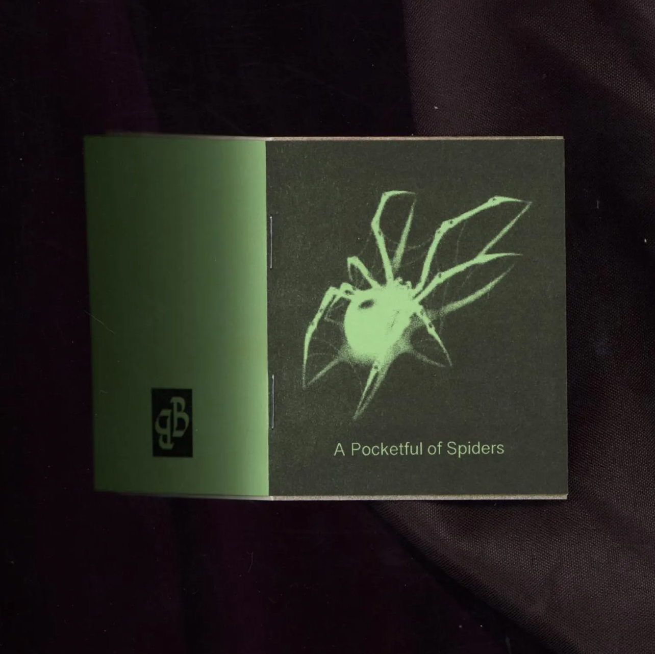 A Pocketful of Spiders Risograph Mini Zine