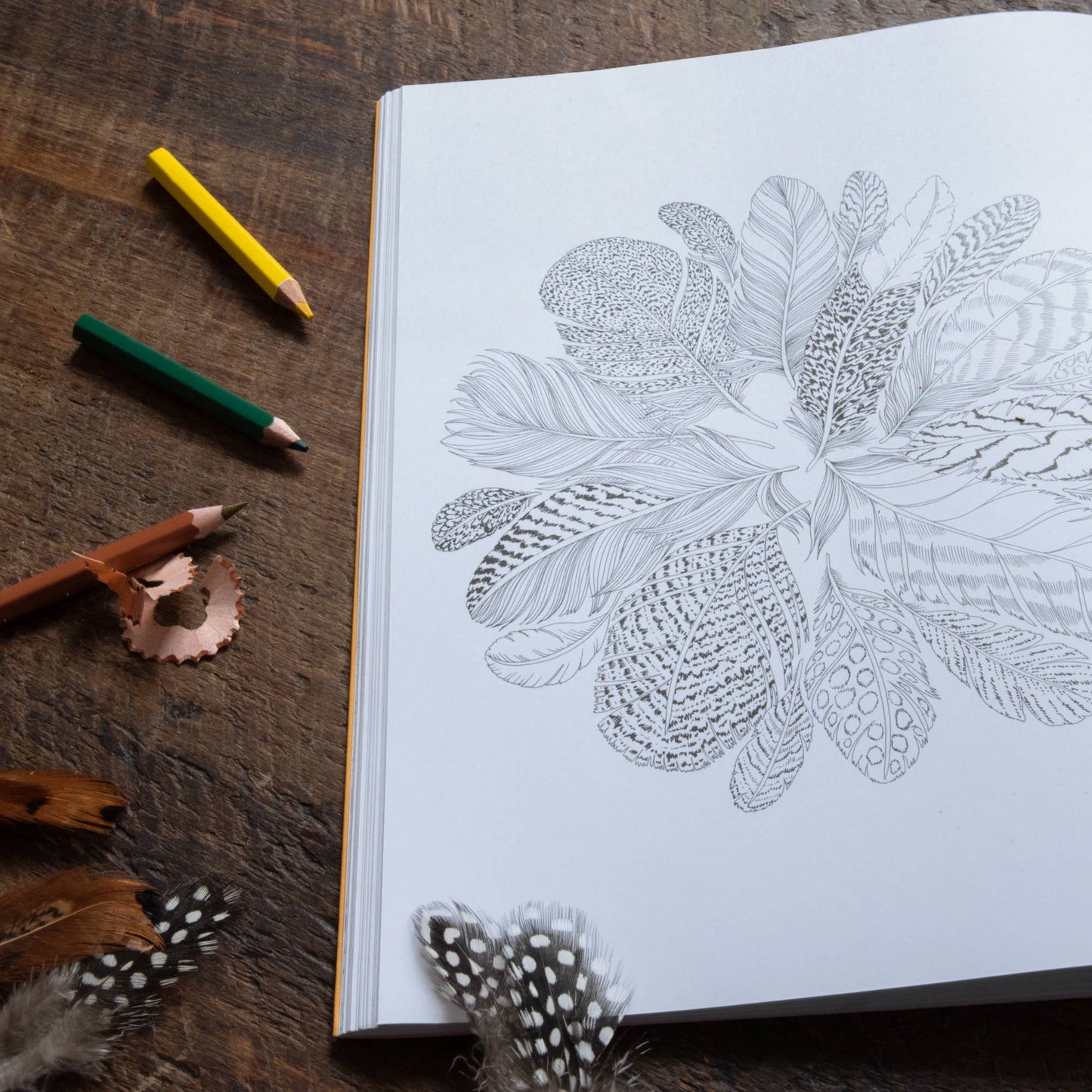 Leila Duly's Beautiful Planet Coloring Book