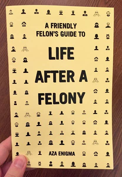 Friendly Felon's Guide to Life After a Felony Zine