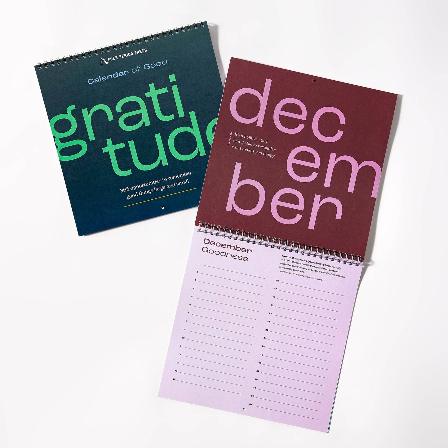 Calendar of Good: A Gratitude Calendar