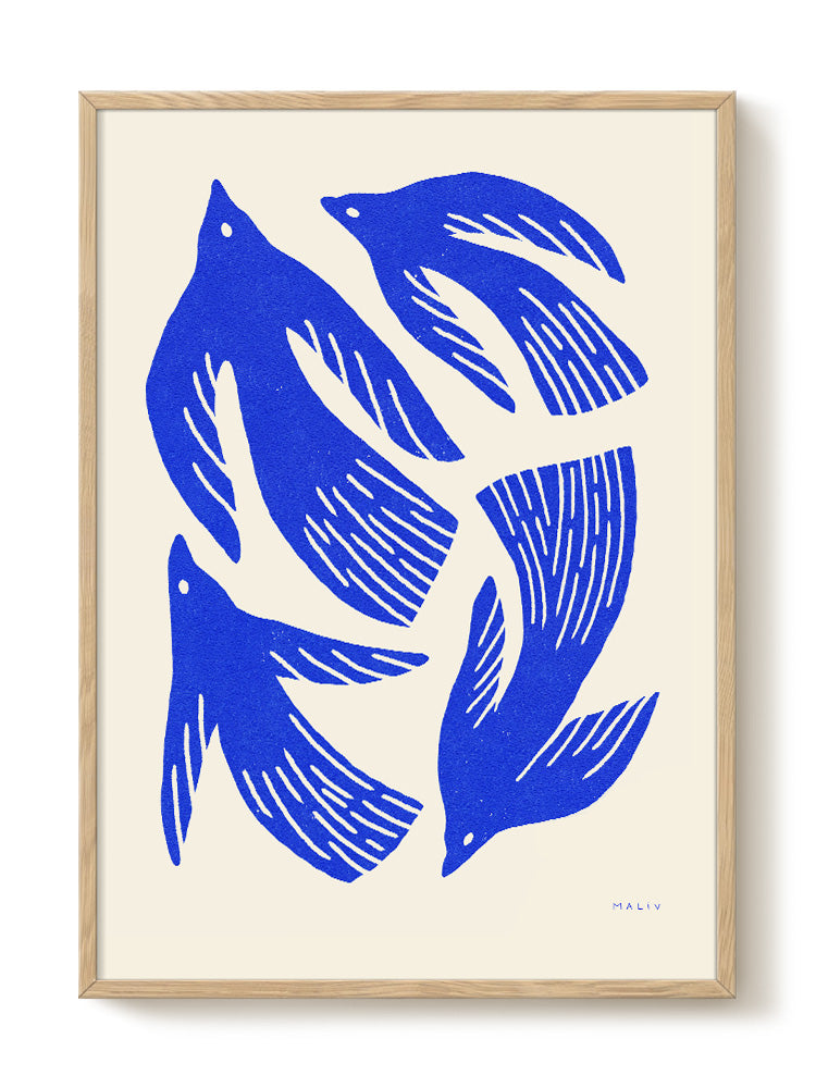 Oiseaux print