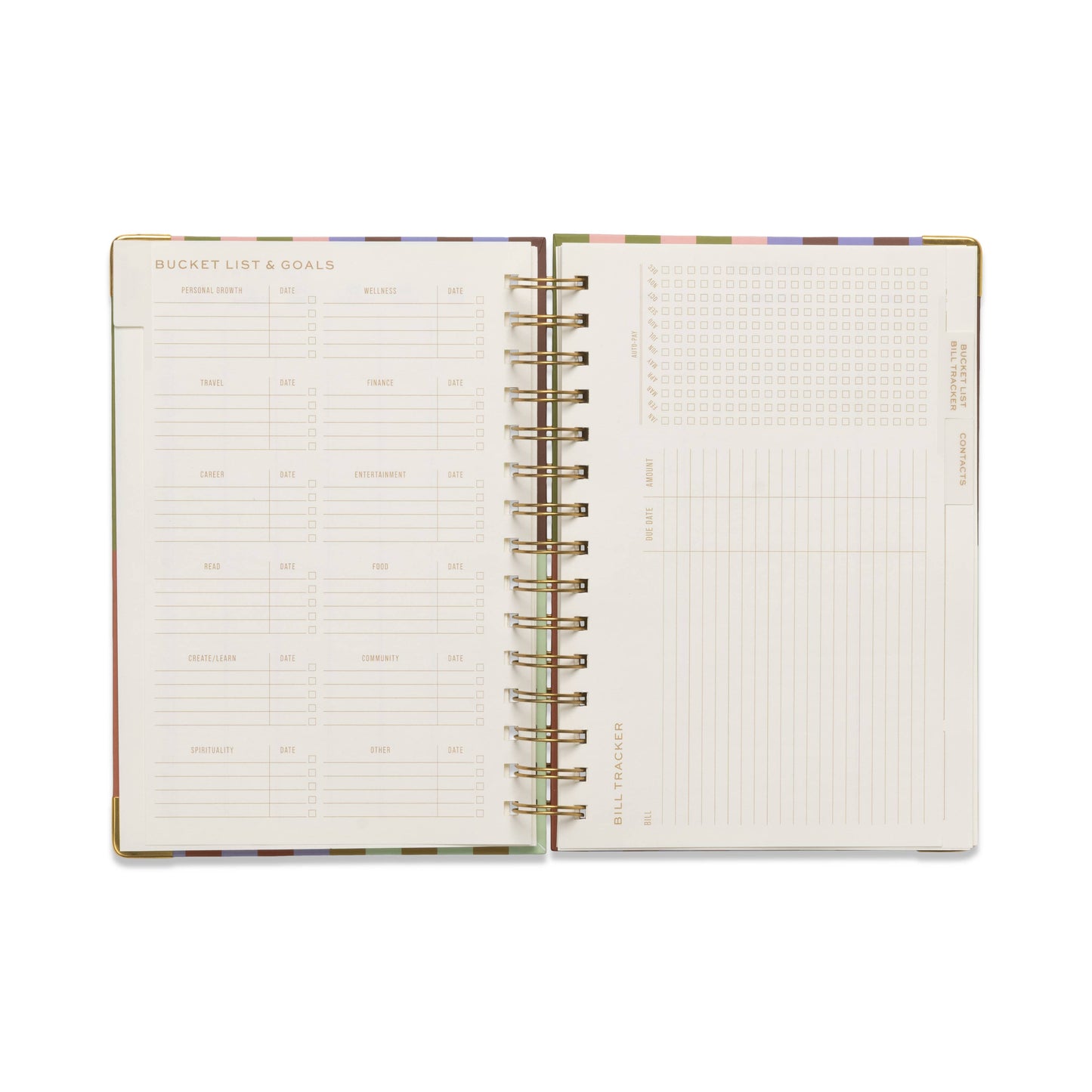 Bold Stripe Undated 13 Mo Perpetual Planner