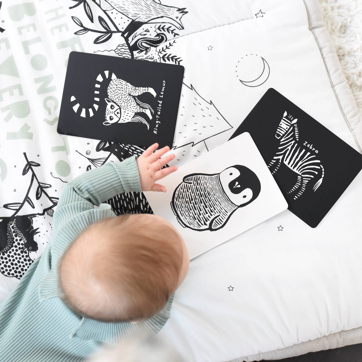 Black and White Animals Art Cards for Baby