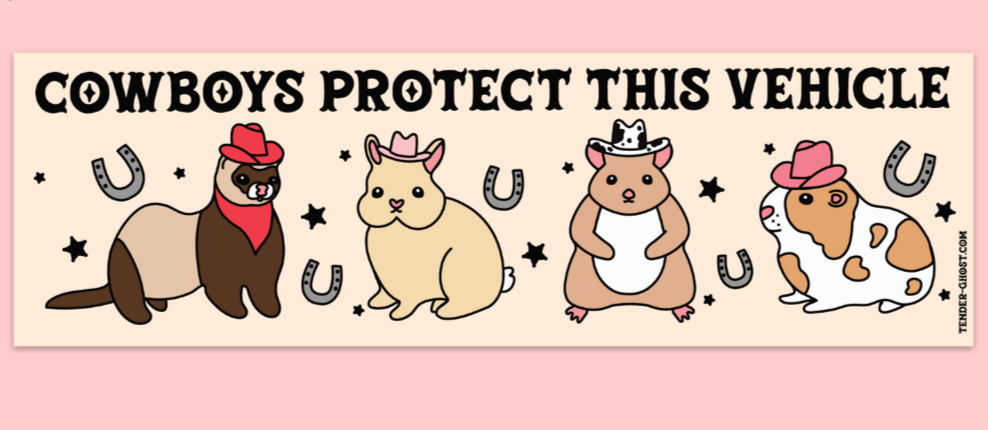 Cowboys Protect This Vehicle Bumper Magnet / Sticker