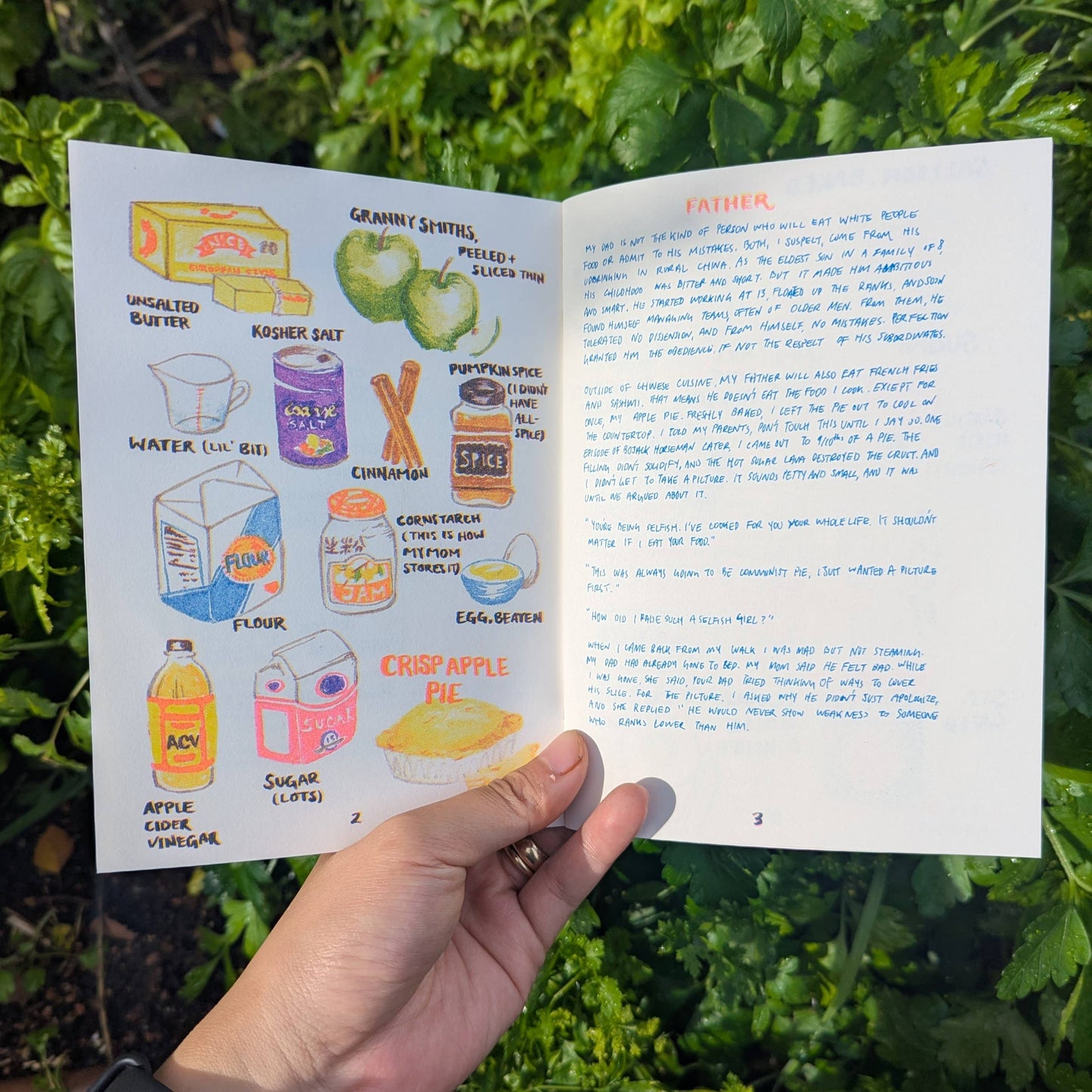 Food I've Cooked for Those I've Loved zine