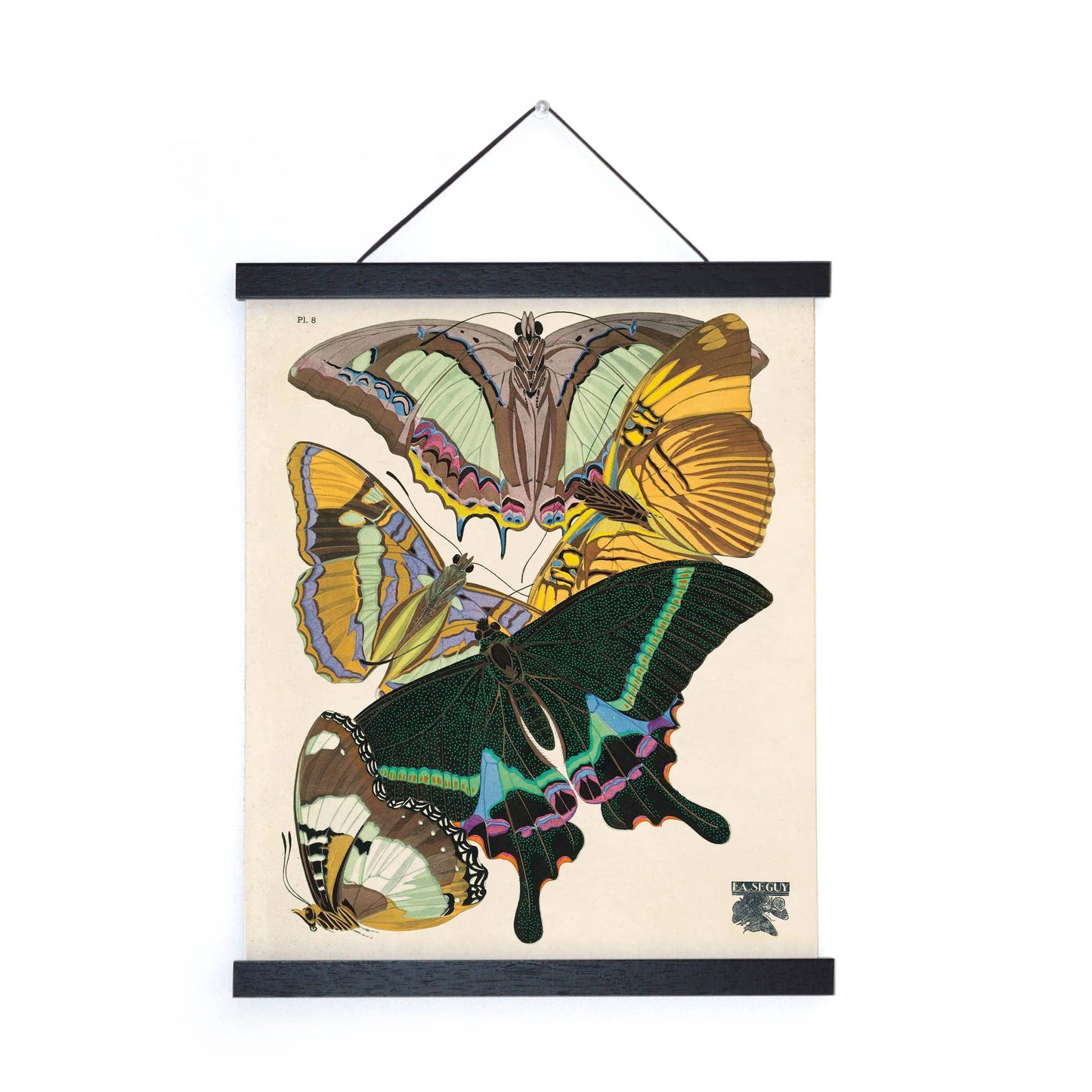 Vintage Seguy Butterfly print