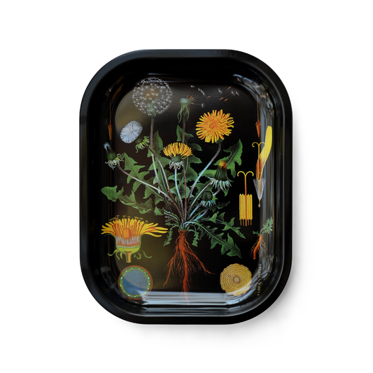 Botanical Dandelion Trinket Tray