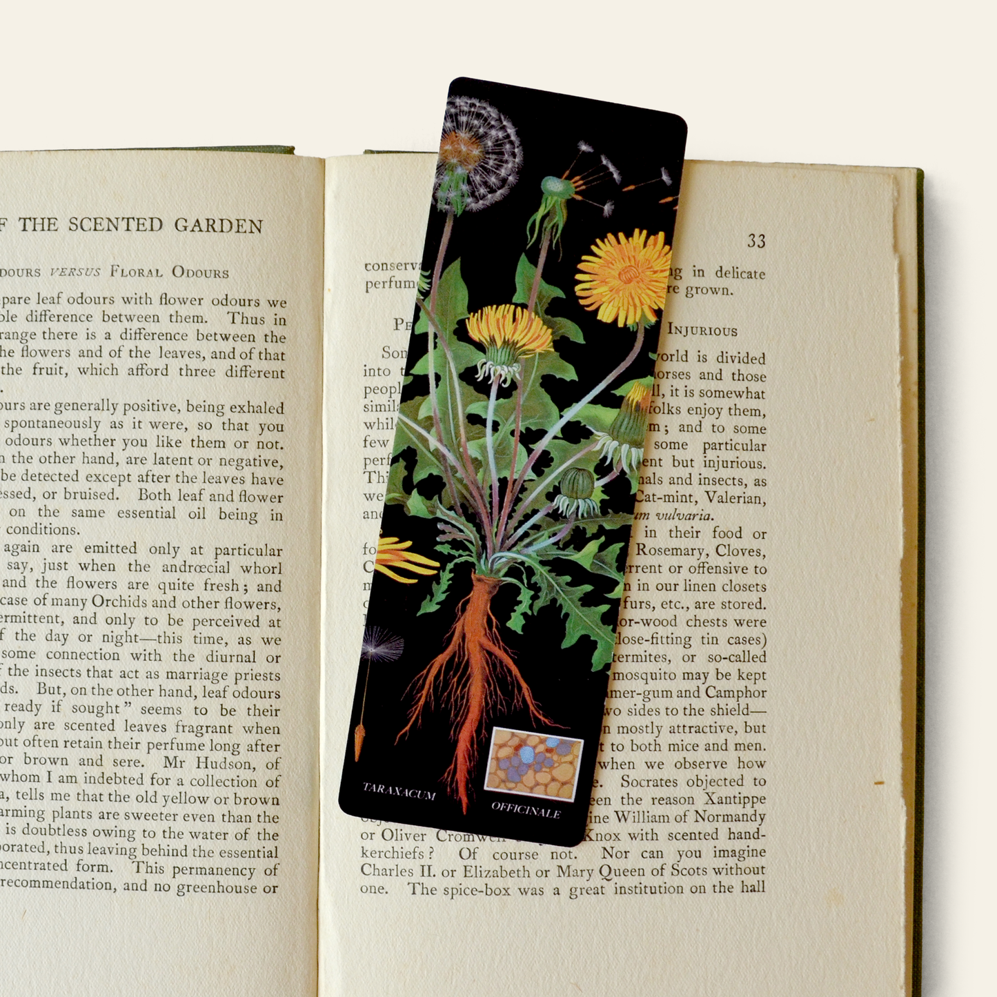 Dandelion Double-Sided Bookmark