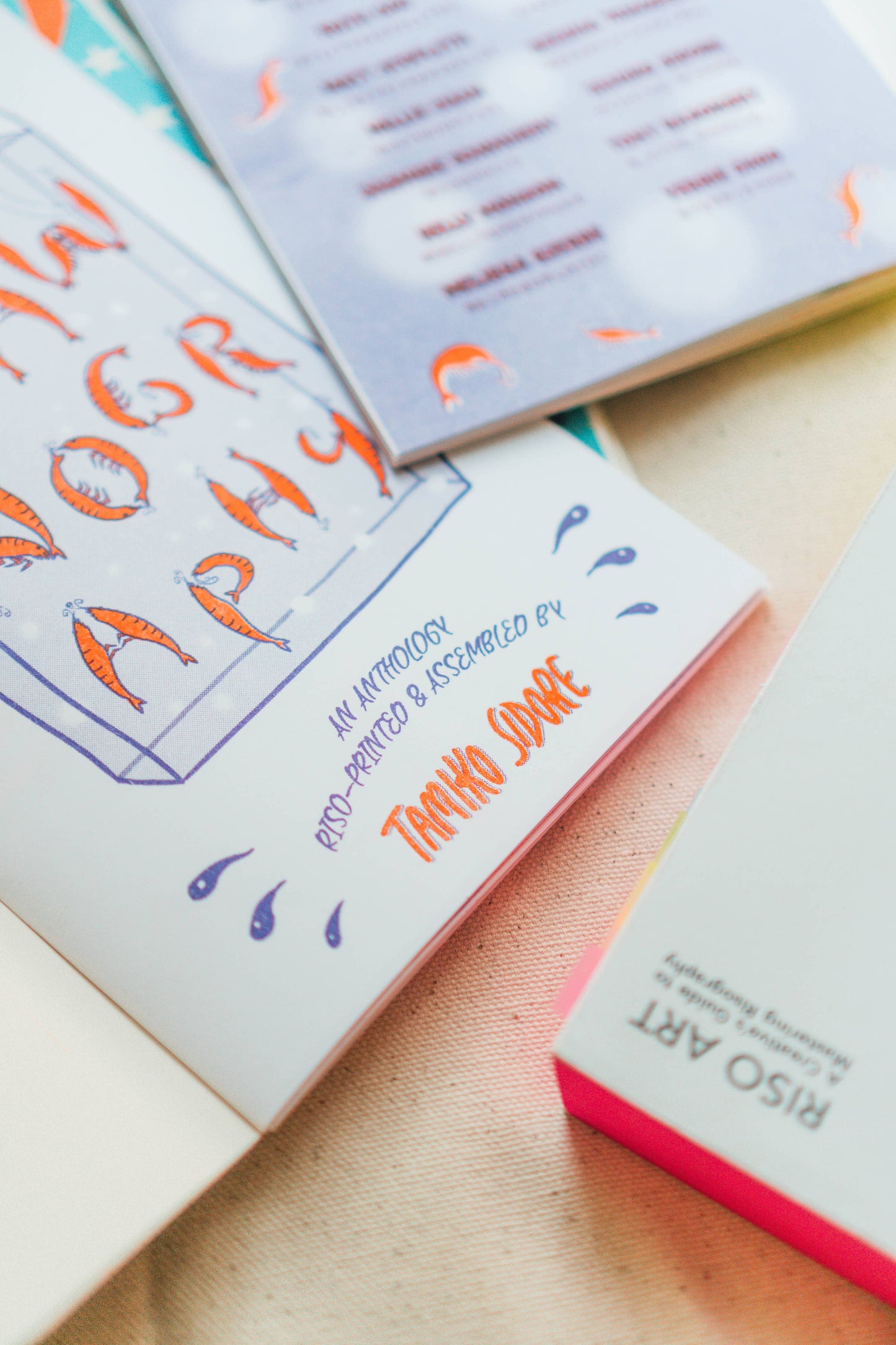 PRAWNOGRAPHY Zine