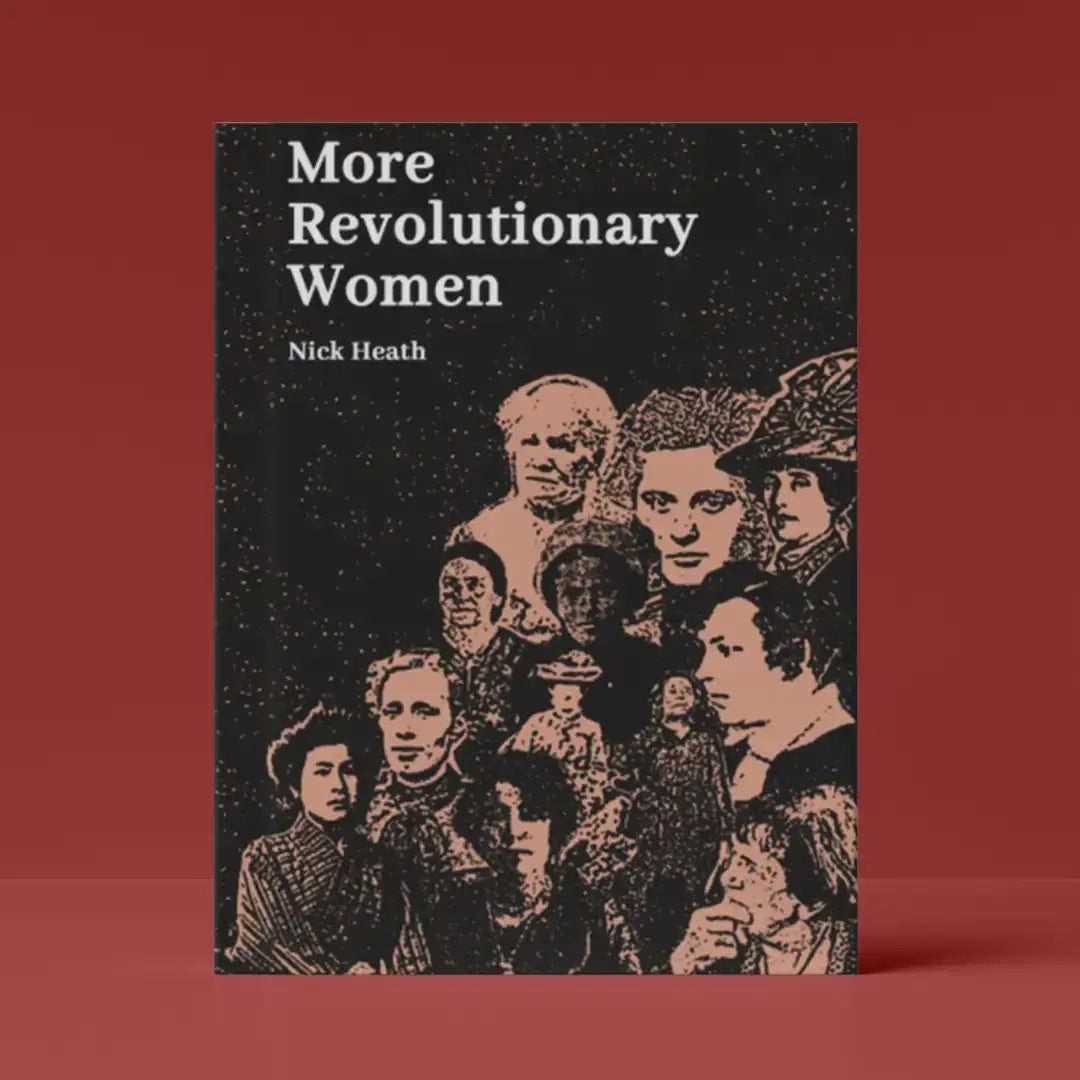 More Revolutionary Women book