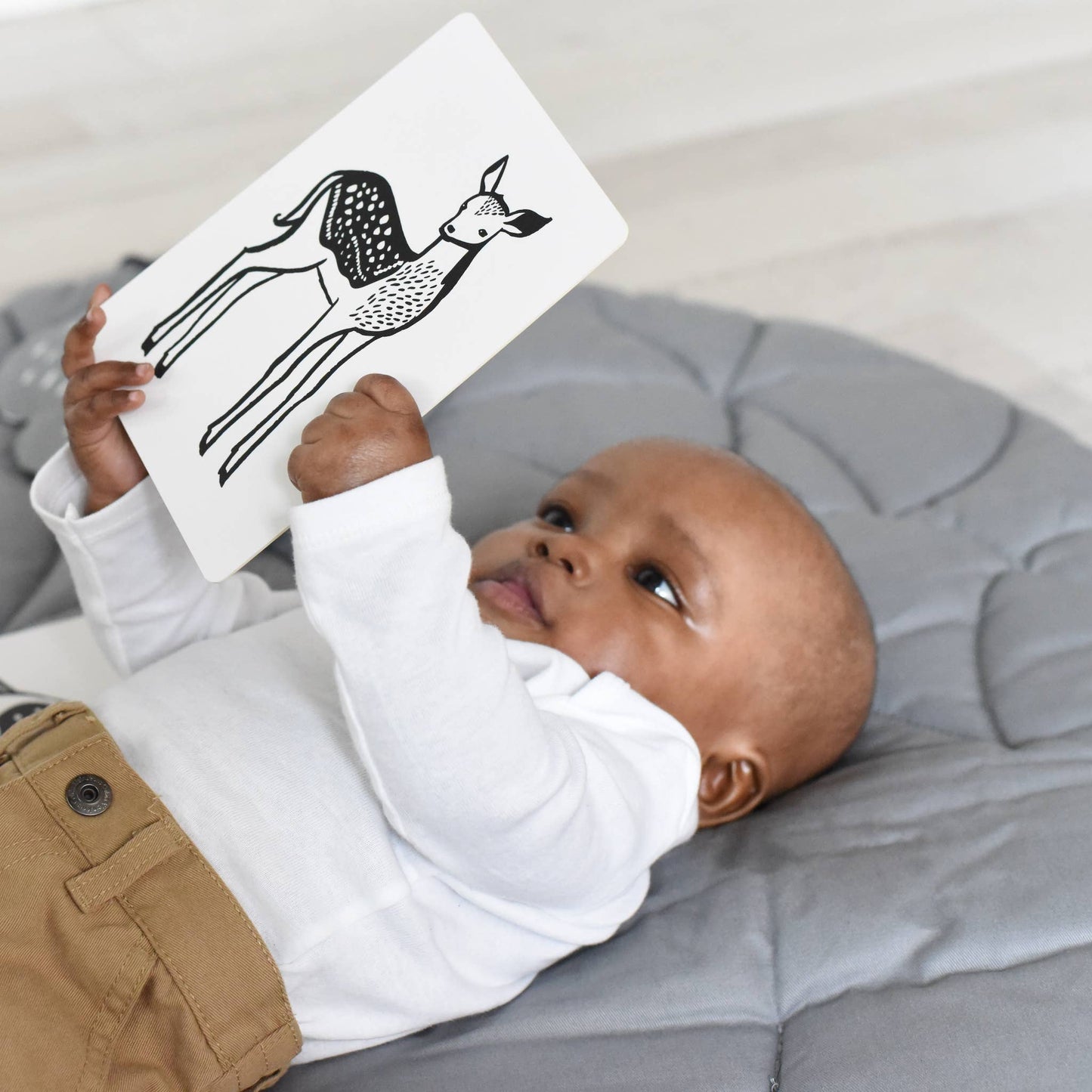 Baby Animals Art Cards for Baby