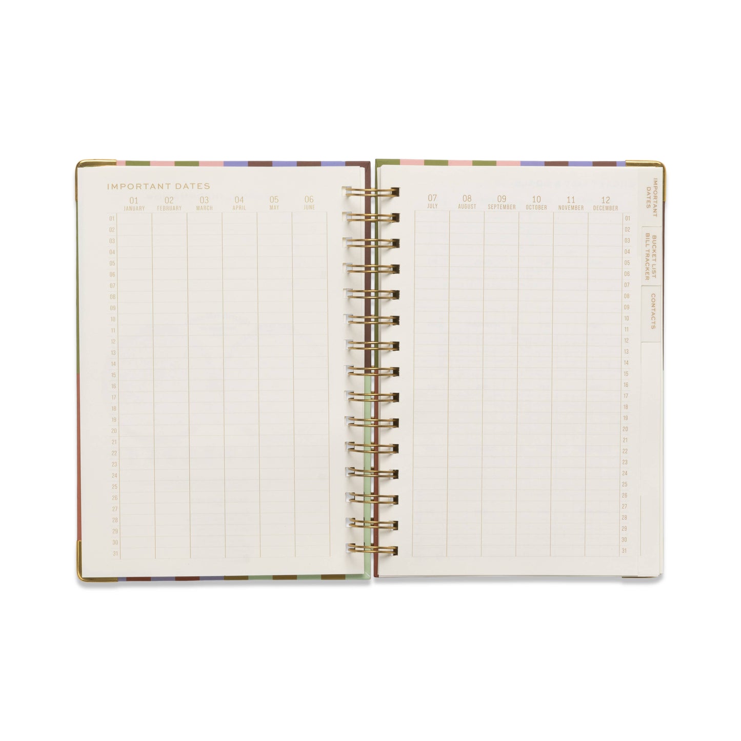 Bold Stripe Undated 13 Mo Perpetual Planner