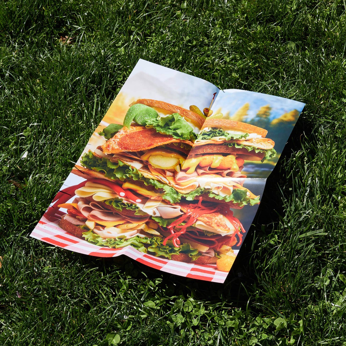 Big Sammy Puzzle