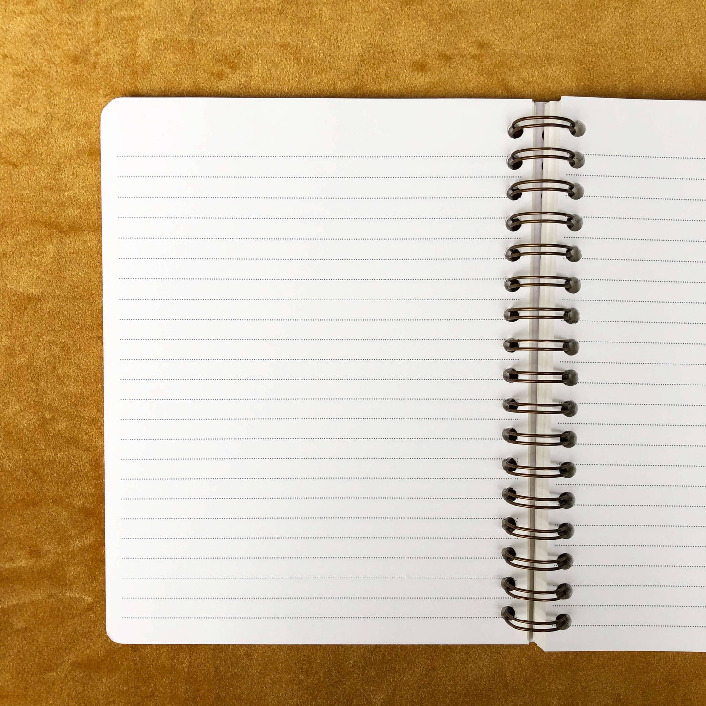 Seeing Eye Journal