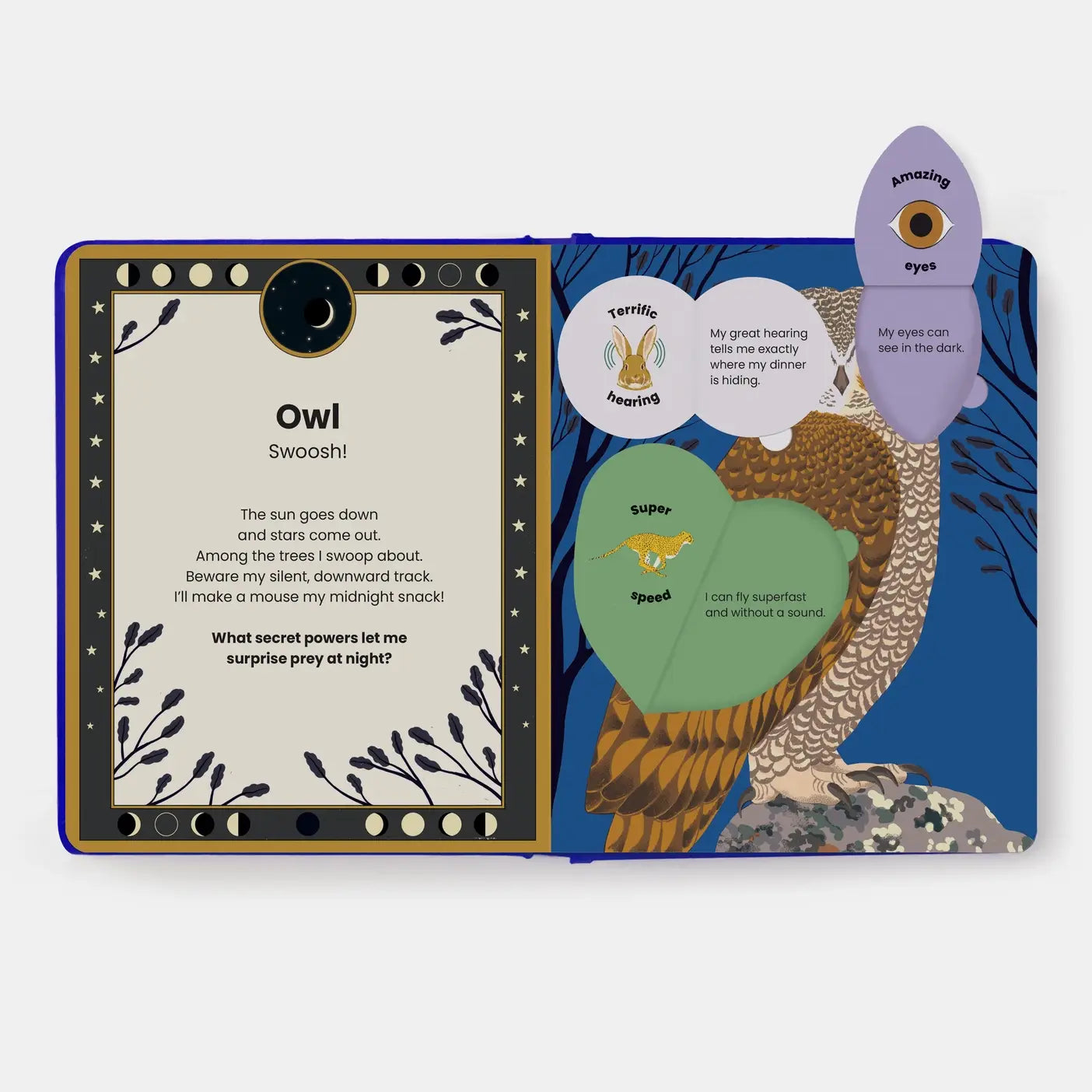 The Secret Powers of Animals book