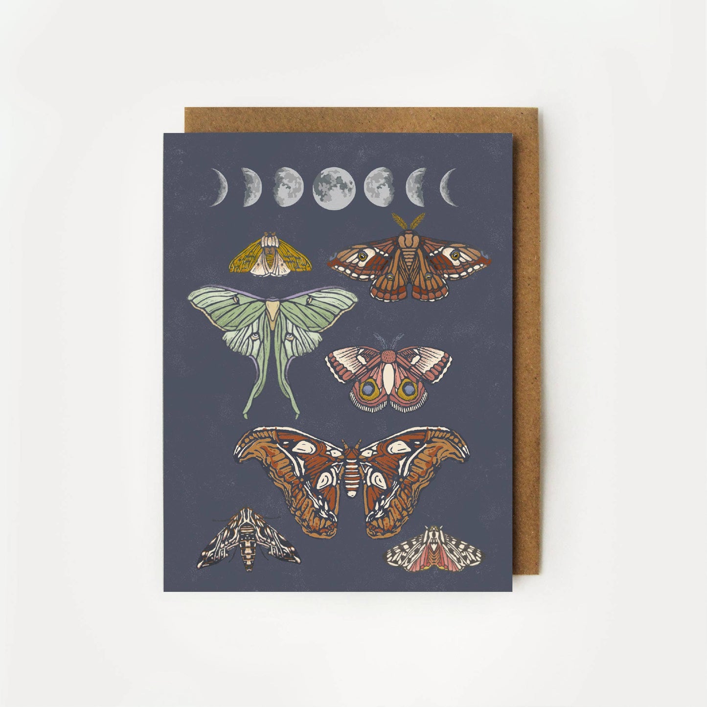Moonlit Moths Boxed Cards