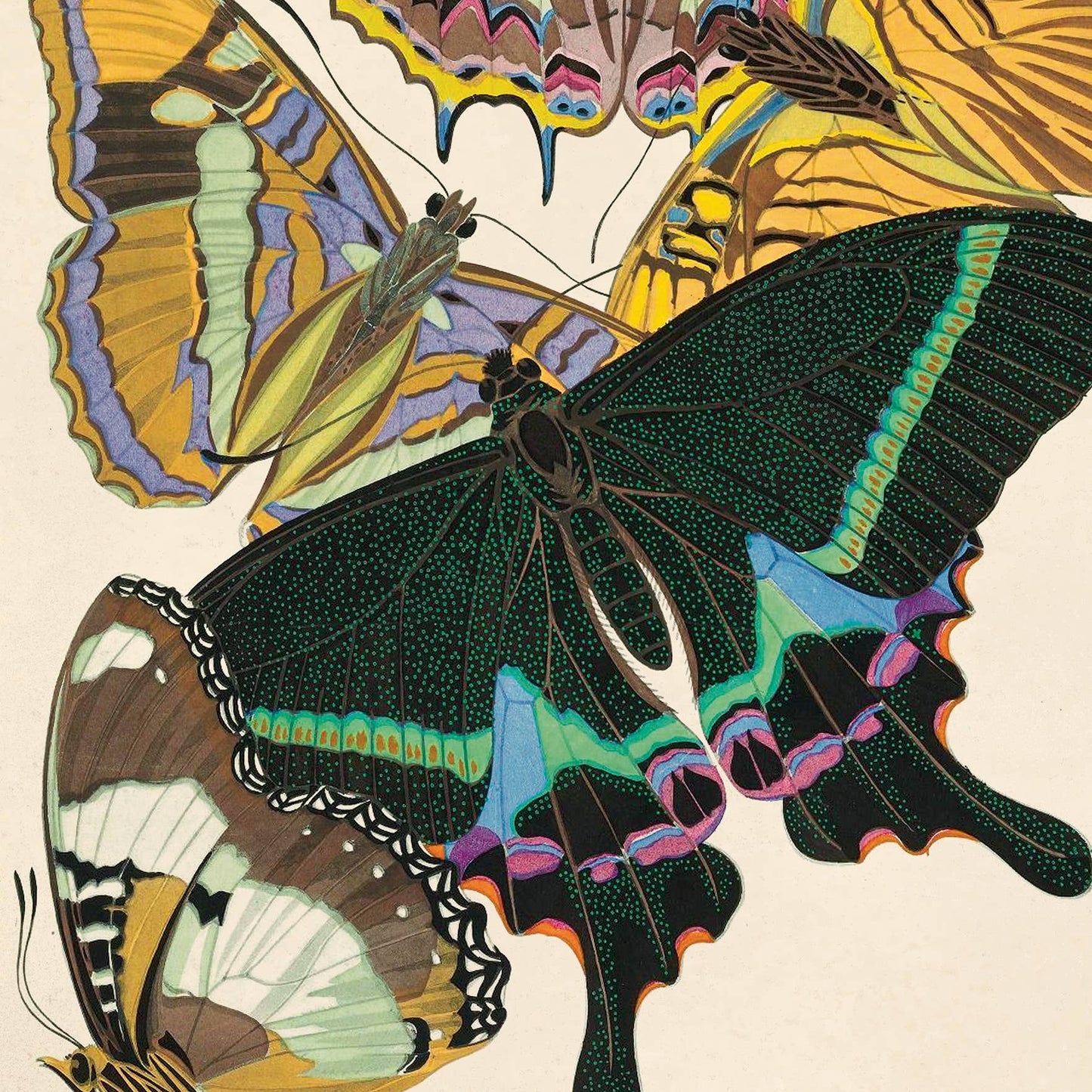 Vintage Seguy Butterfly print