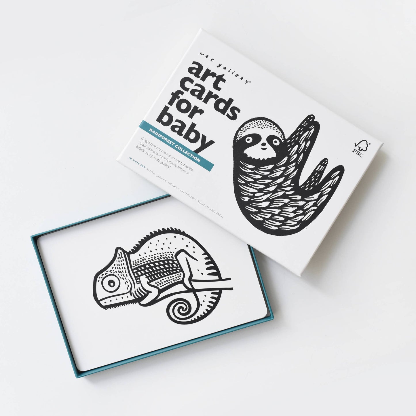 Rainforest Baby Animals Art Cards