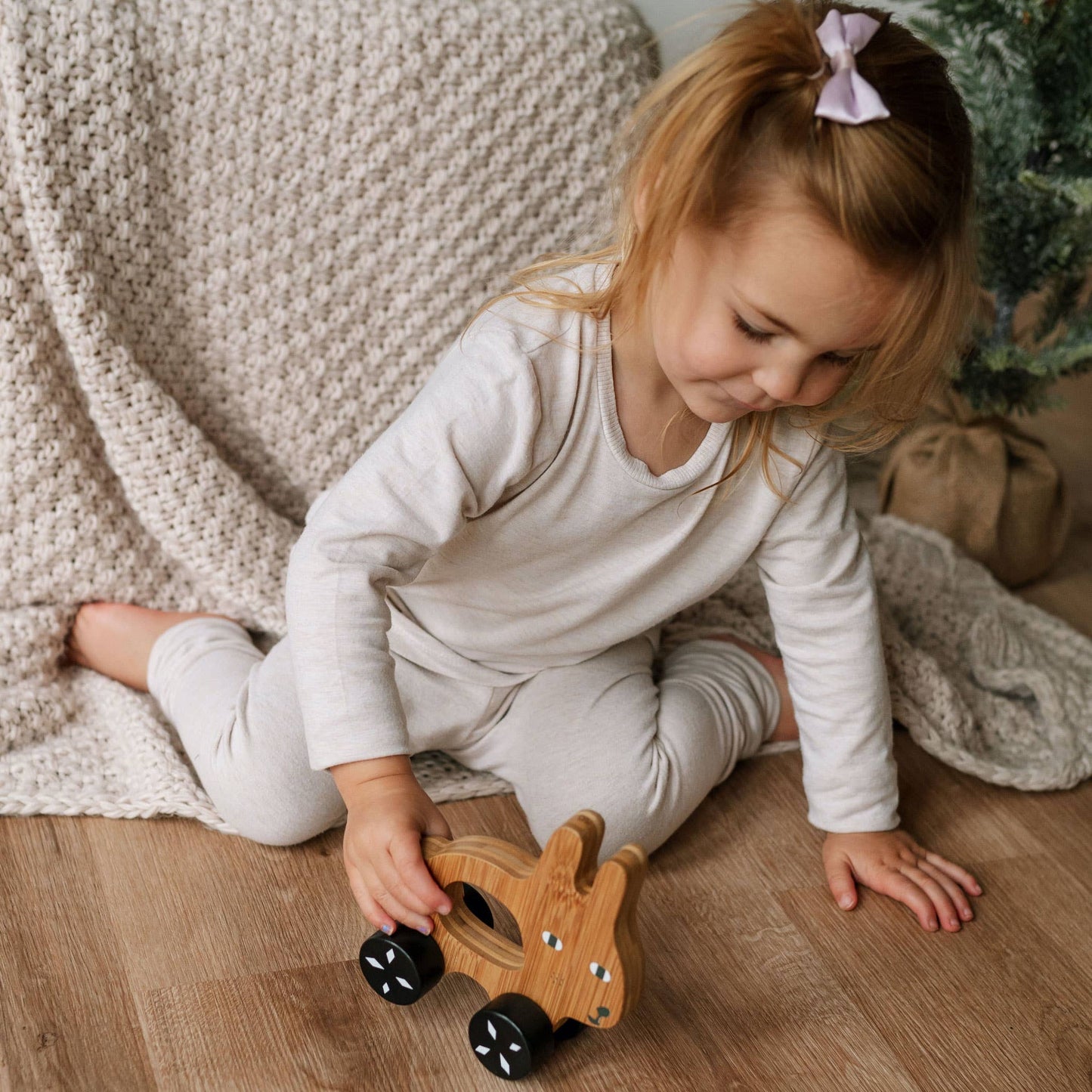 Bunny Push Toy