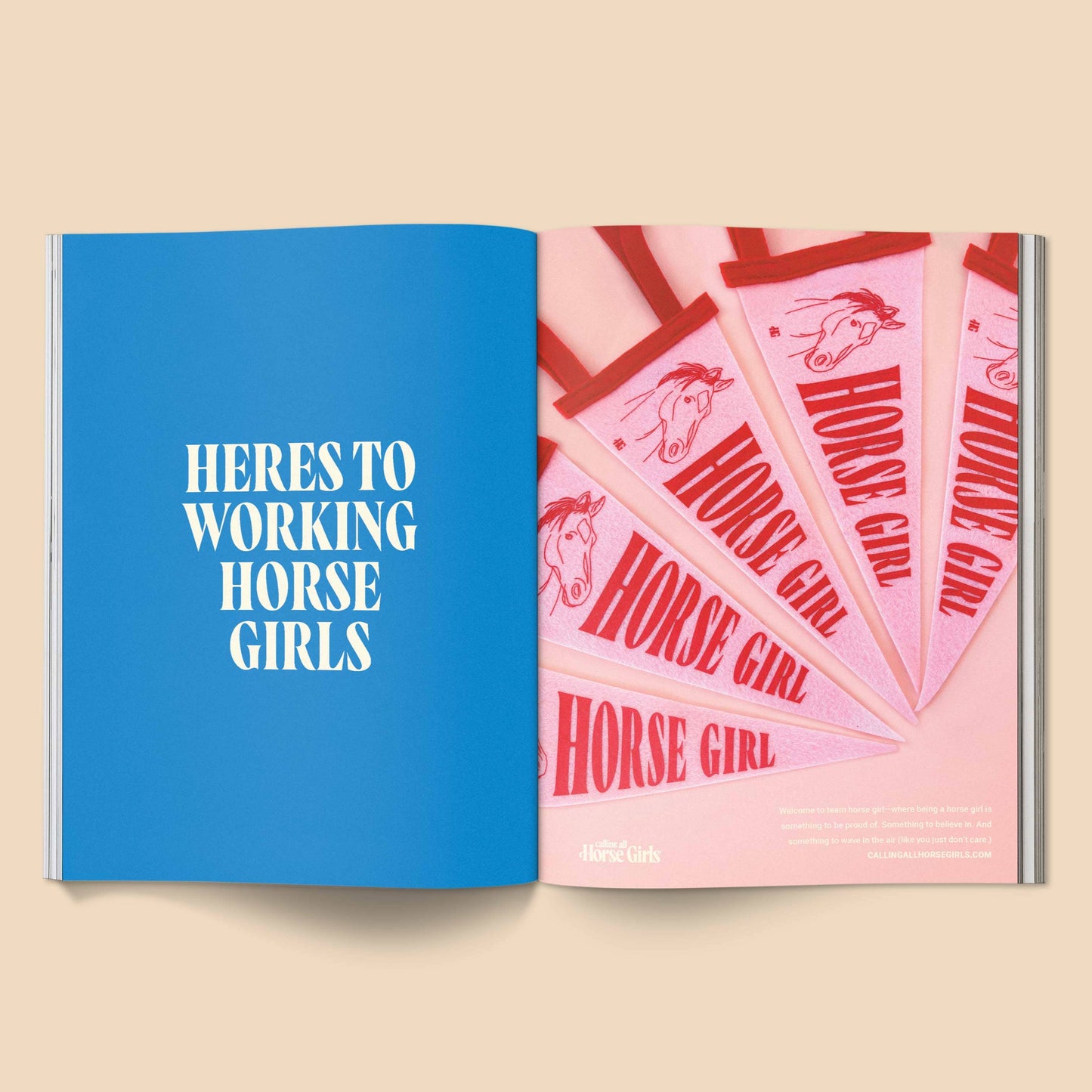 Calling All Horse Girls Magazine Vol. 2: Working