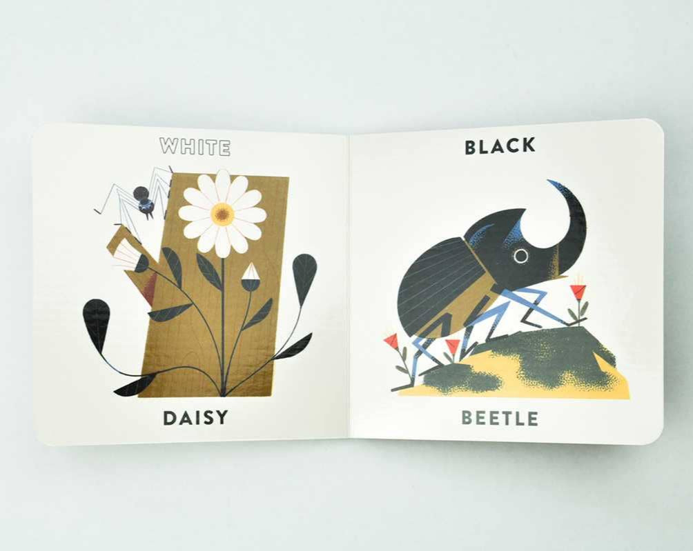 Colors in the Garden board book
