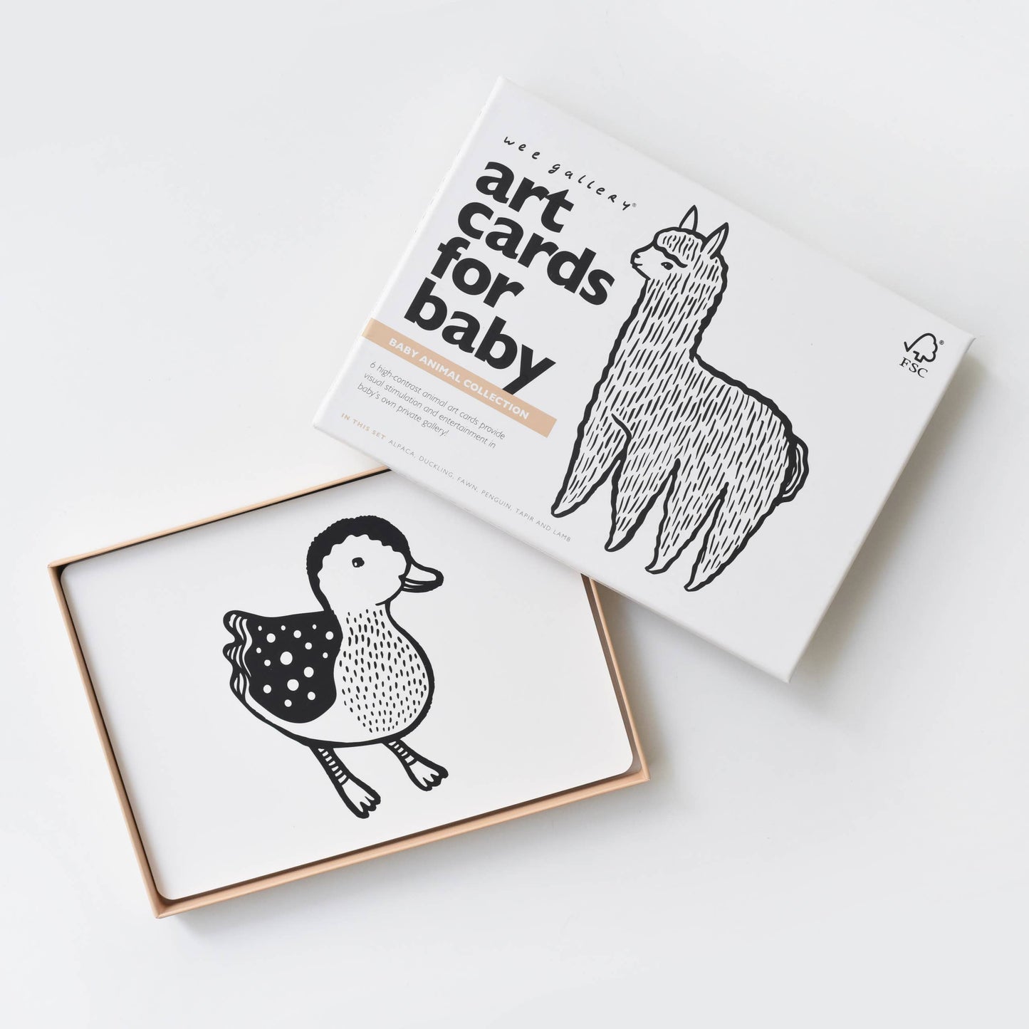 Baby Animals Art Cards for Baby