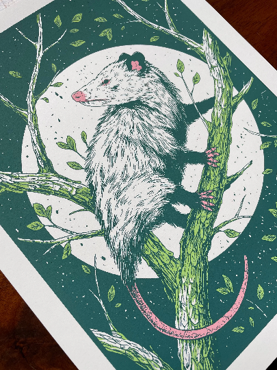 Opossum Print 8x10"