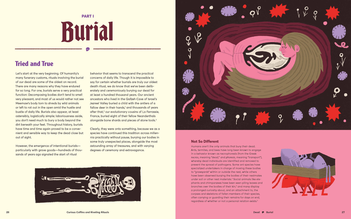 Curious Coffins and Riveting Rituals book