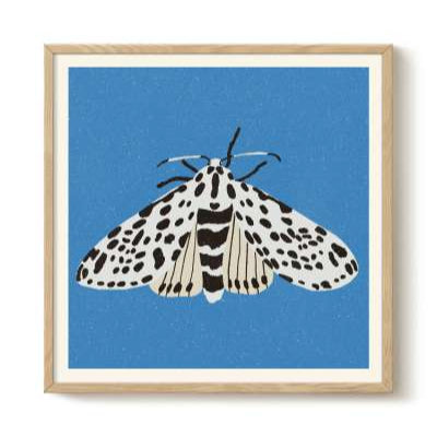 Tiger Moth print