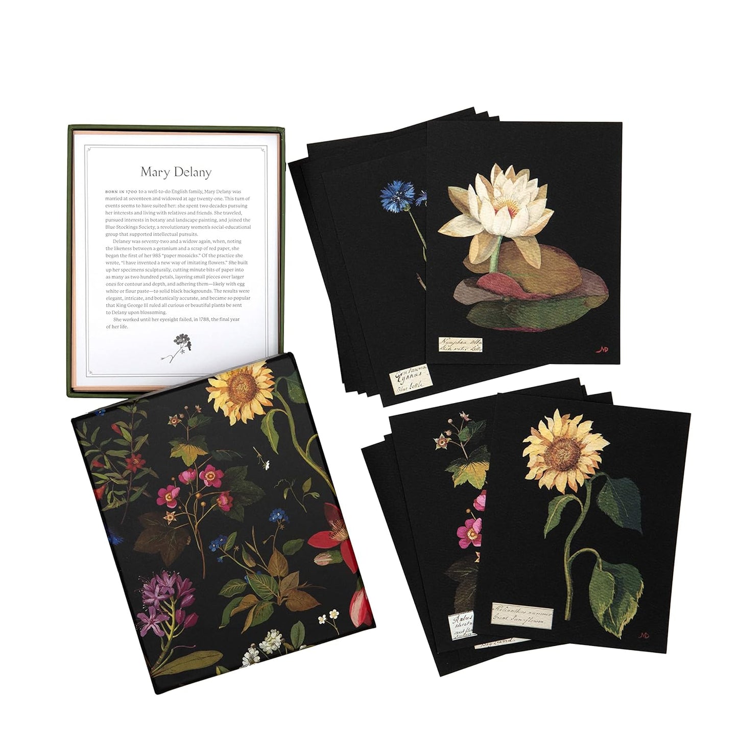 Paper Flowers Boxed Cards