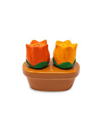 Tulip Salt & Pepper Shaker Set