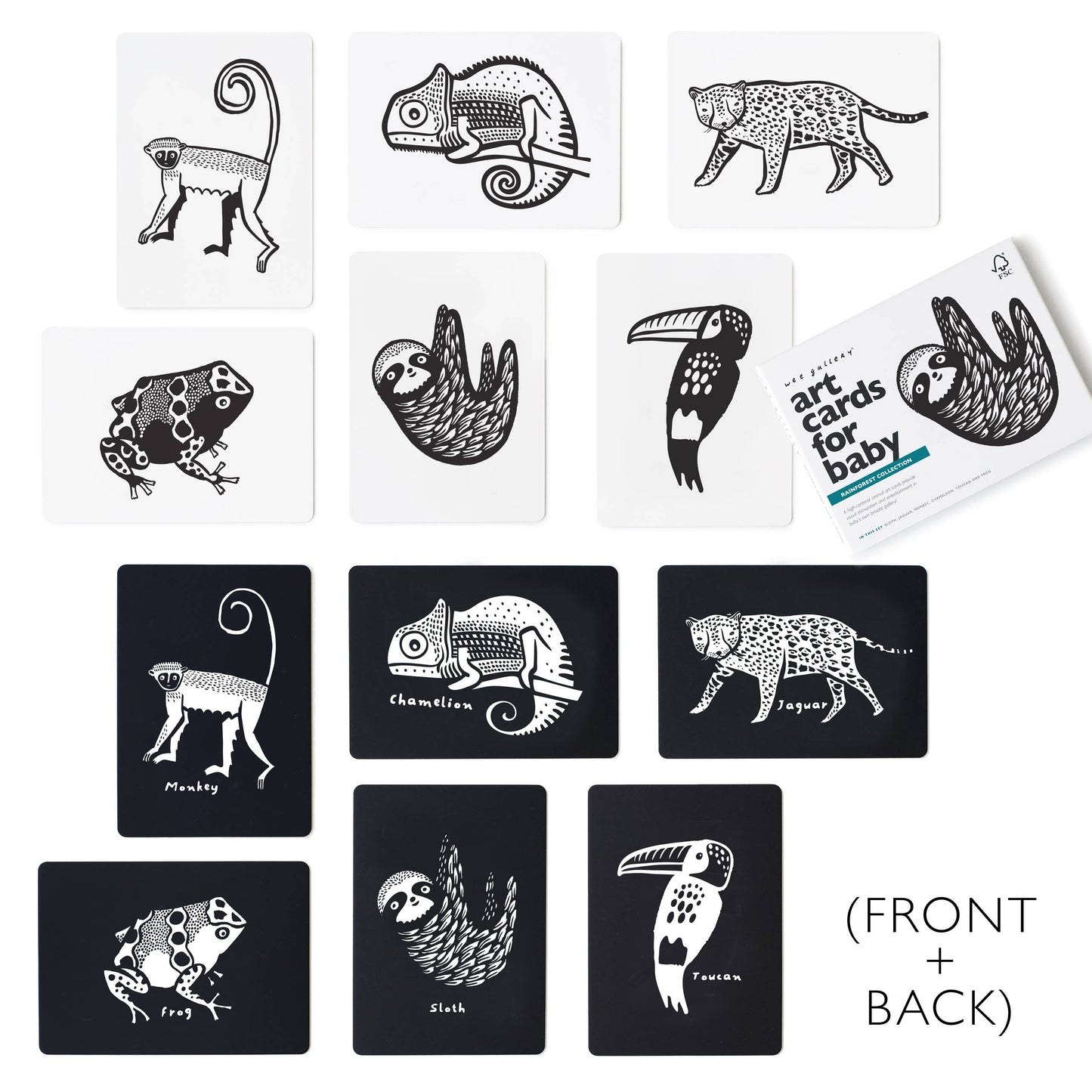 Rainforest Baby Animals Art Cards