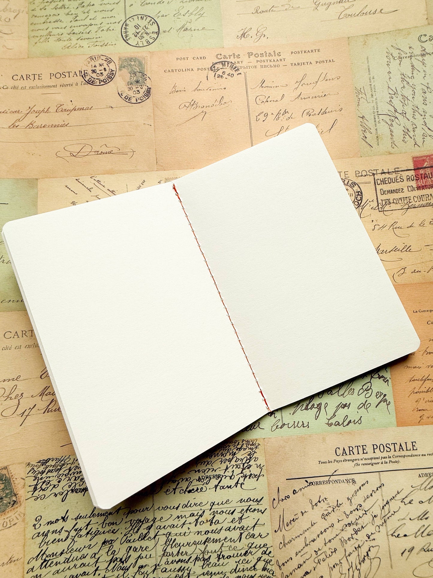 Pauli Murray notebook