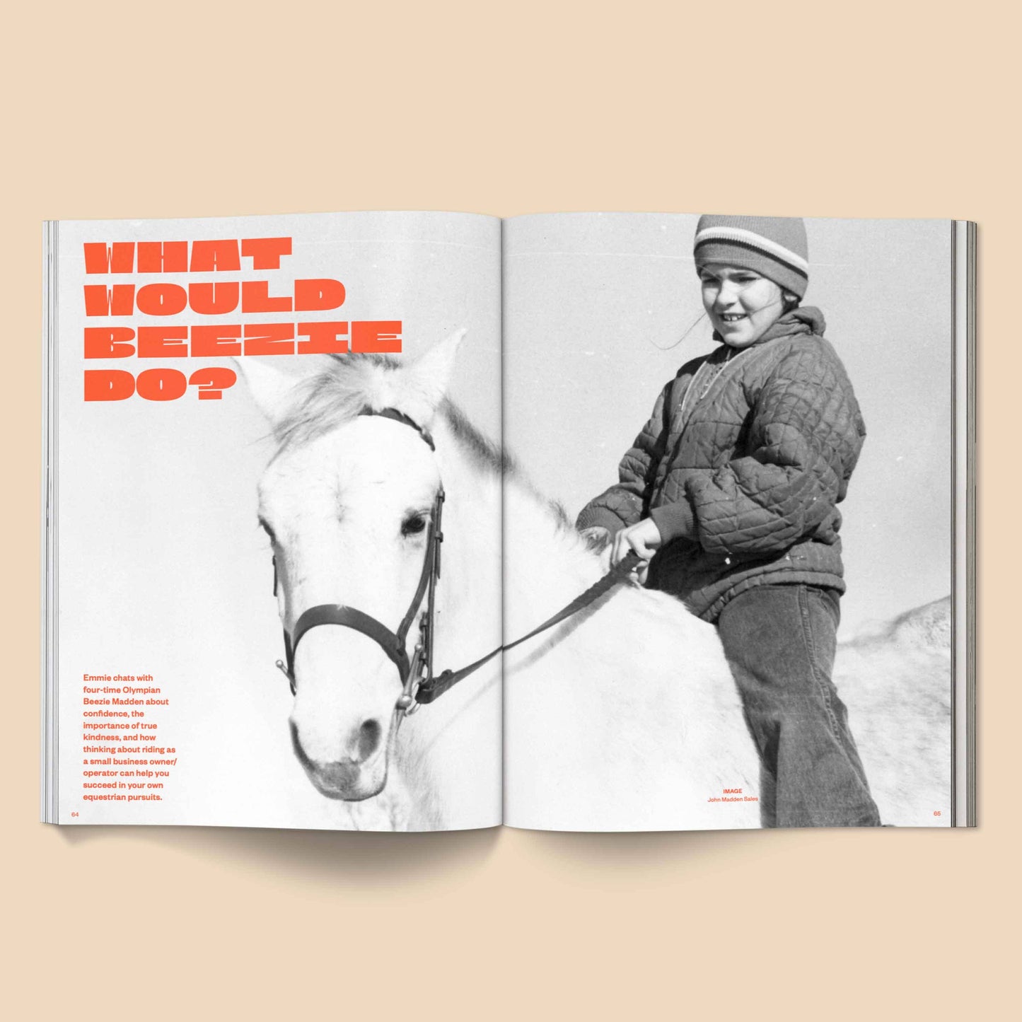 Calling All Horse Girls Vol. 3: Culture