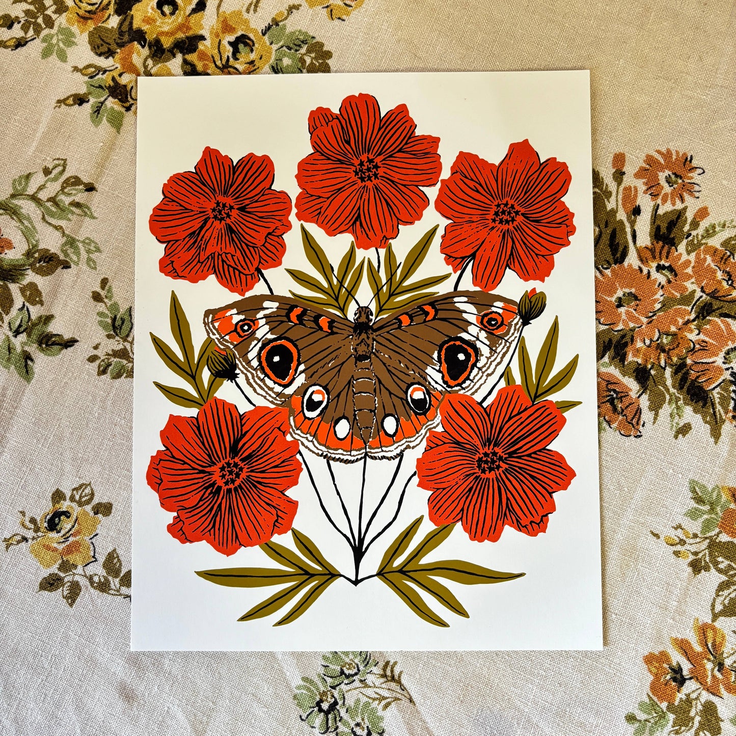 Buckeye print