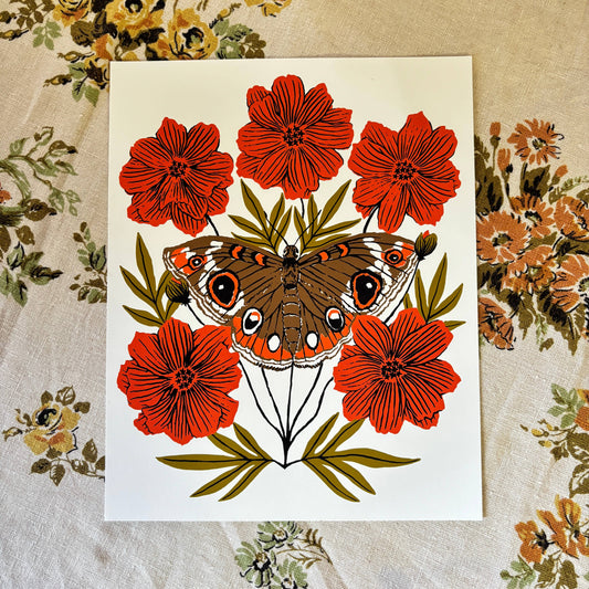 Buckeye print