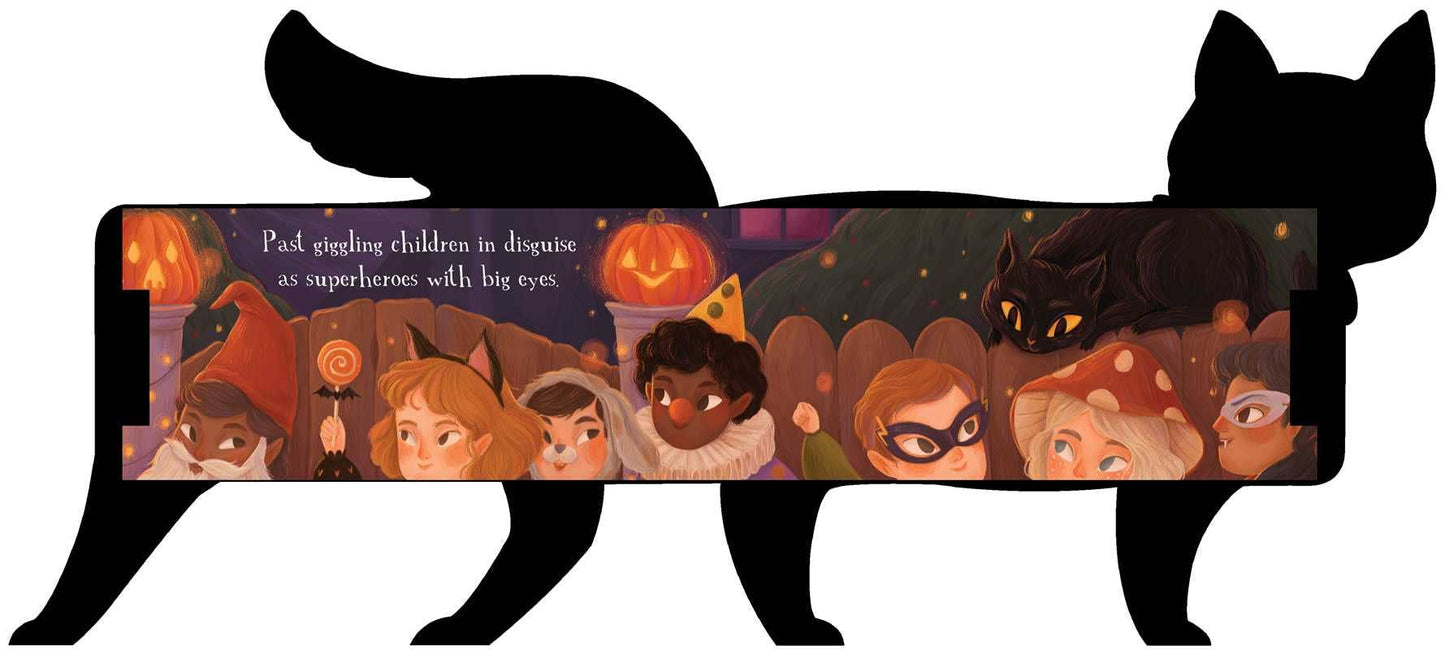 One Black Cat Board Book