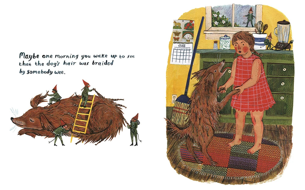 Backyard Fairies Book