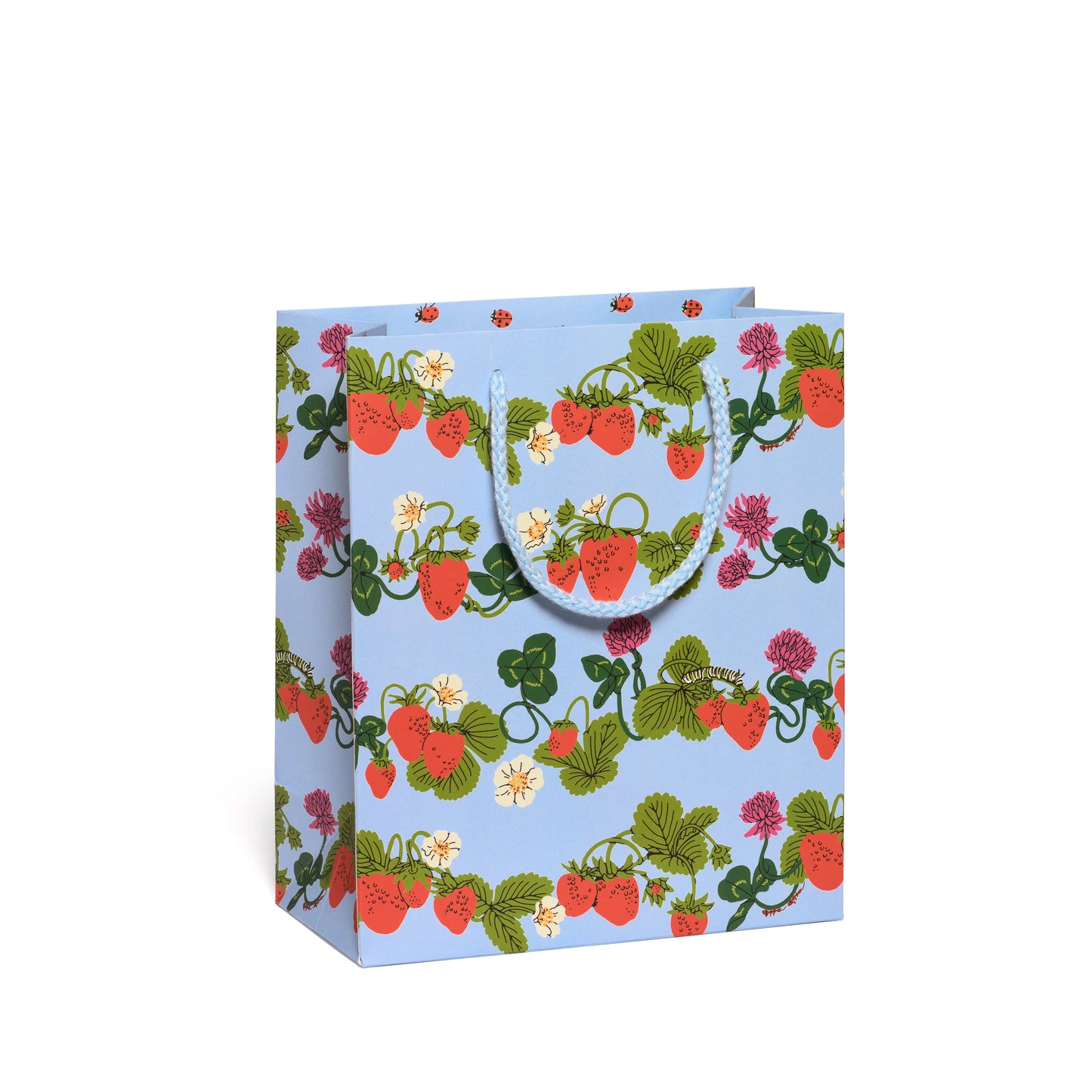 Medium Gift Bag