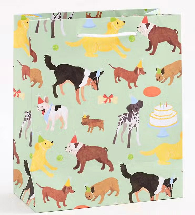 Small Gift Bag