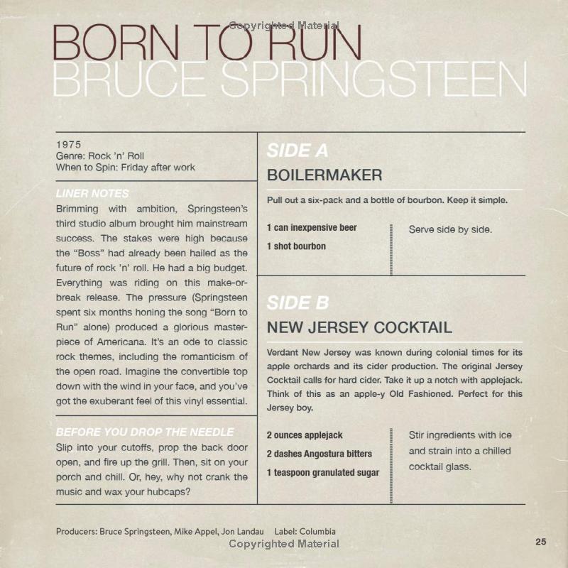 Booze & Vinyl Book