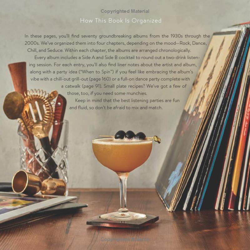 Booze & Vinyl Book