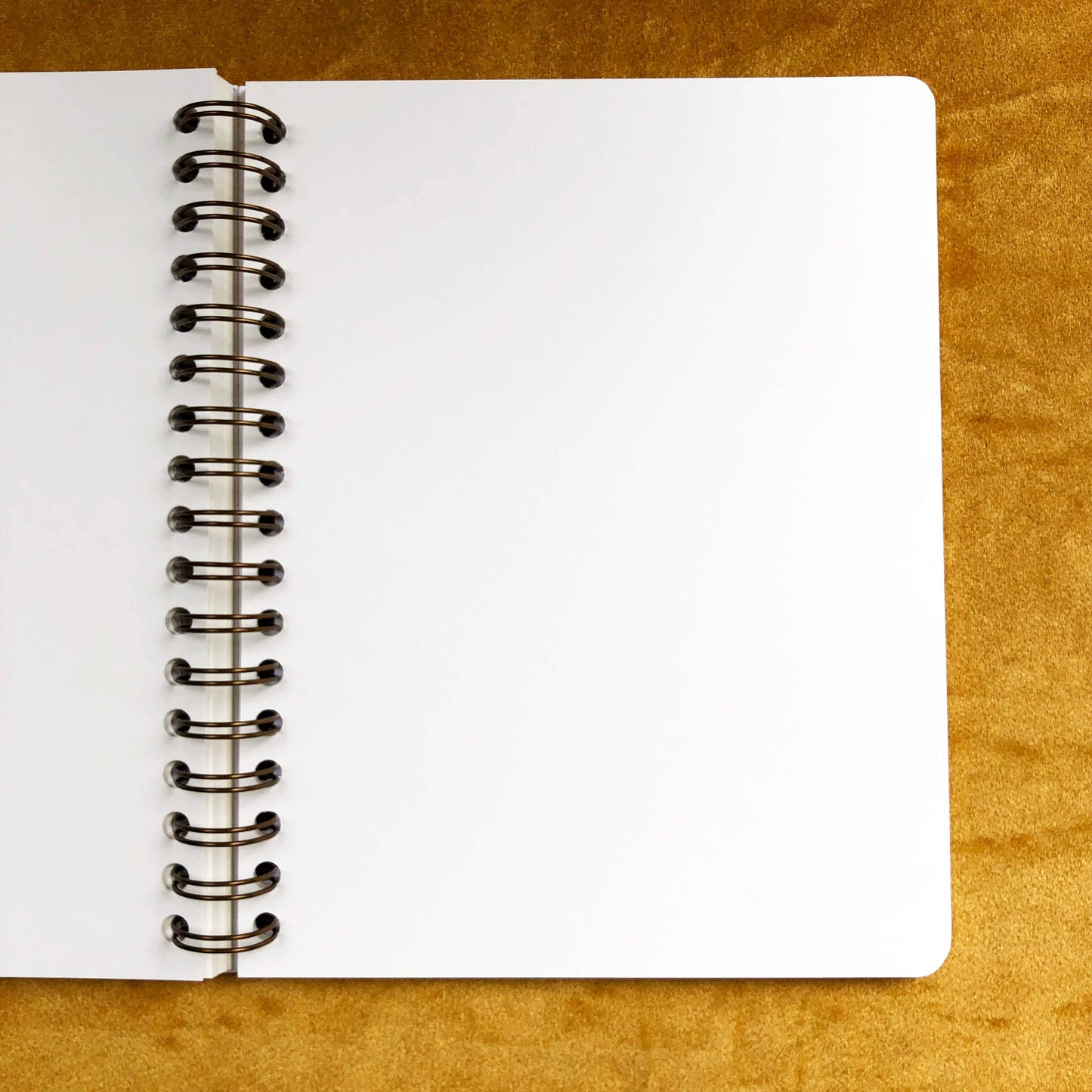 Rainbow Eye Journal