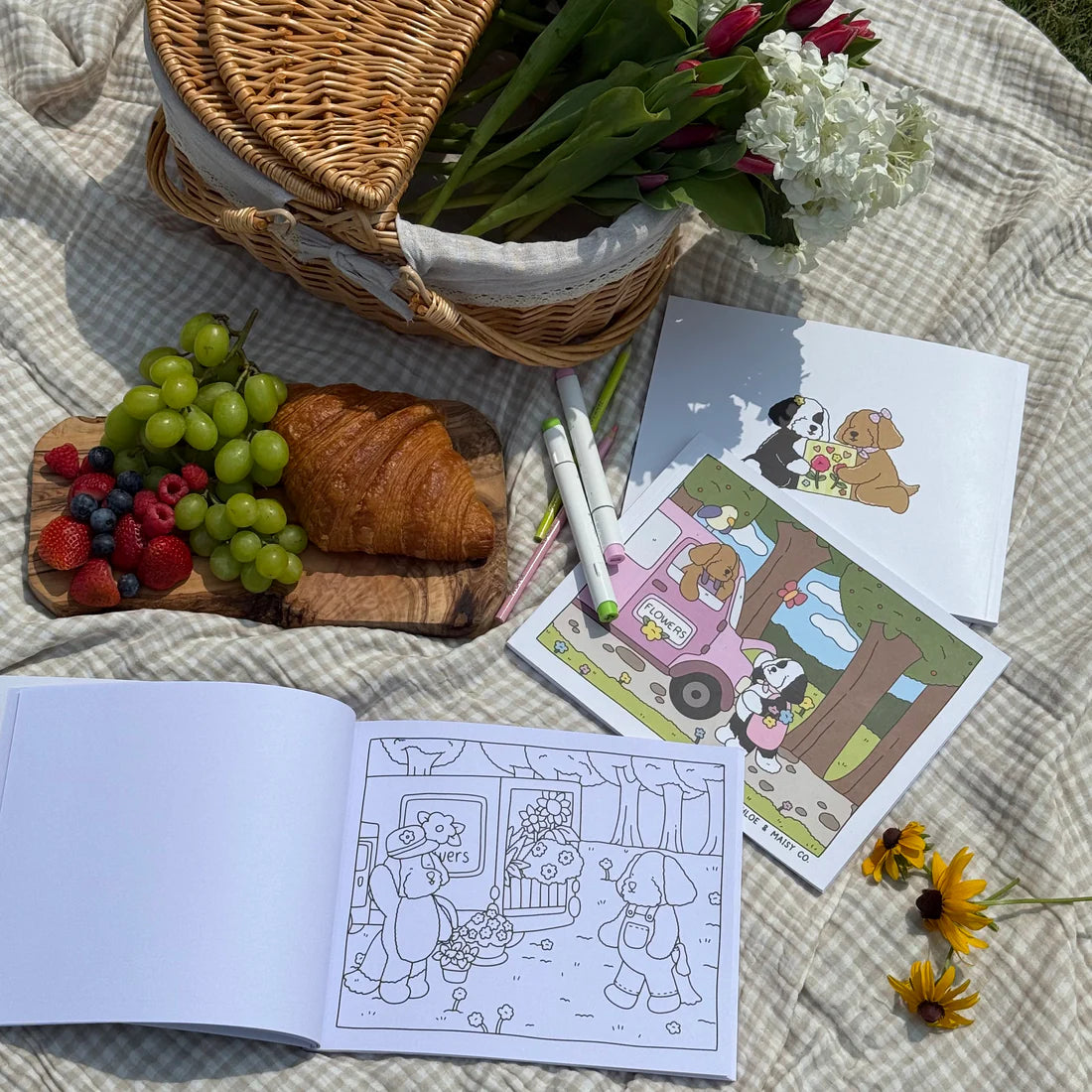 Chloe and Maisy Coloring Book