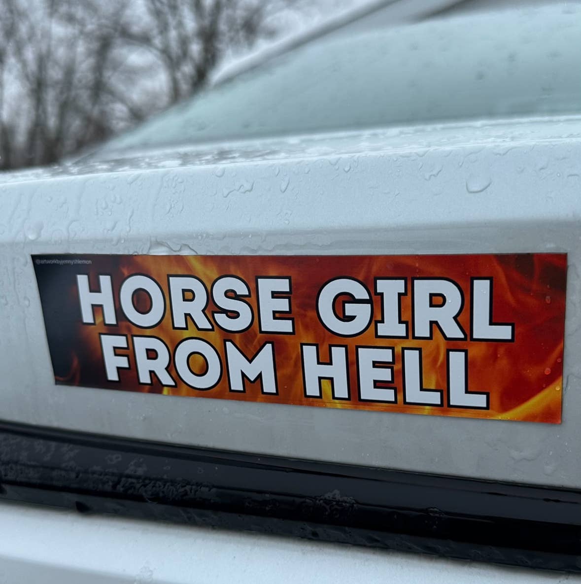 Horse Girl From Hell Bumper Magnet