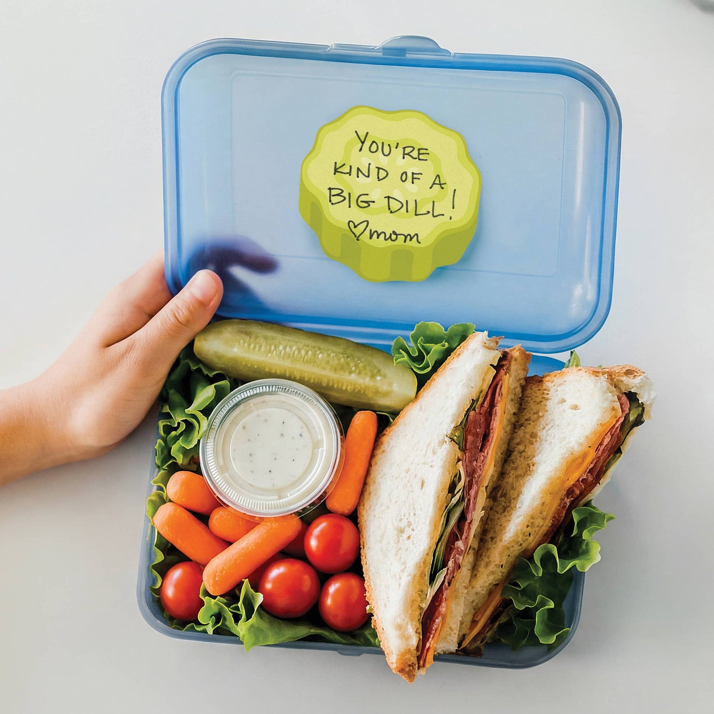 Pickle Sticky Notes