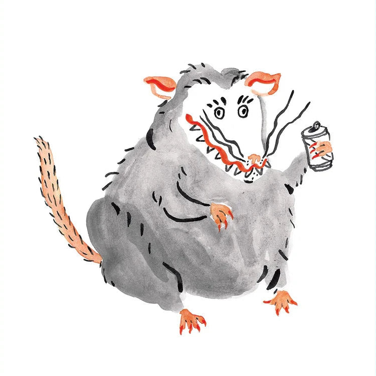 Drinking Opossum print