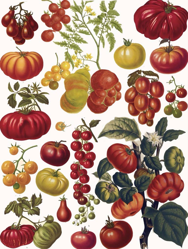 Tomatoes Jigsaw Puzzle