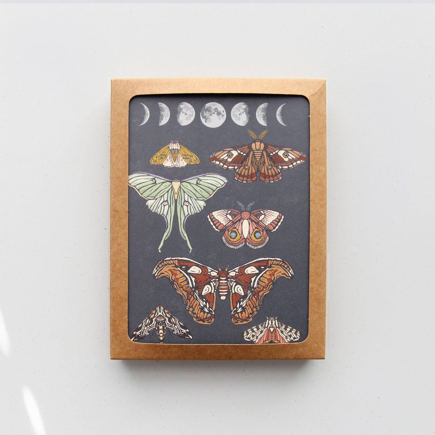 Moonlit Moths Boxed Cards