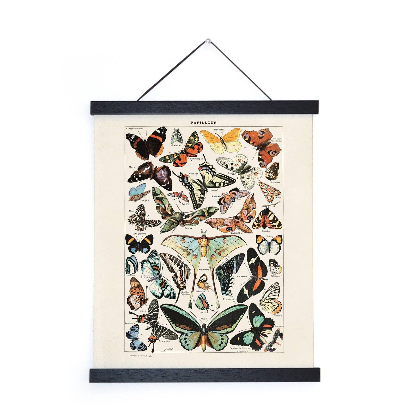 Vintage Millot Butterfly print